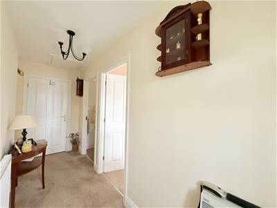 Picture 3
